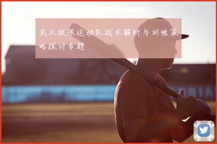 武汉极限运动队战术解析与训练策略探讨专题
