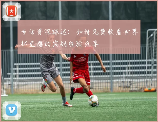 专访资深球迷:如何免费收看世界杯直播的实战经验分享