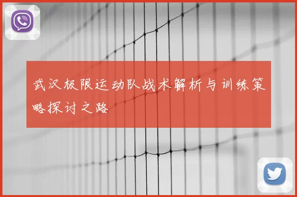 武汉极限运动队战术解析与训练策略探讨之路