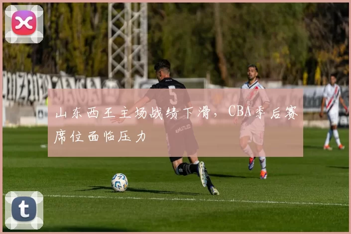 山东西王主场战绩下滑,CBA季后赛席位面临压力