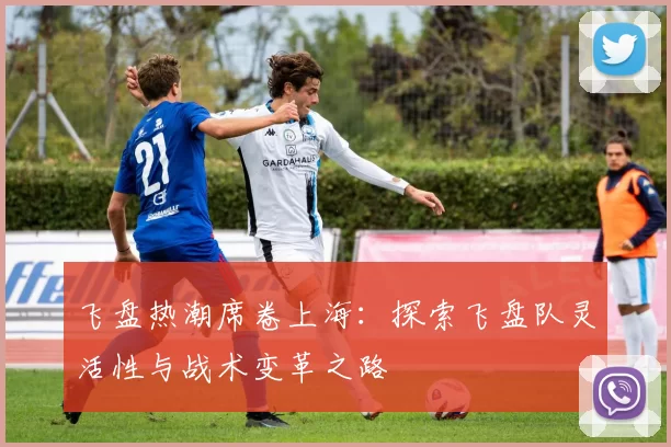 飞盘热潮席卷上海:探索飞盘队灵活性与战术变革之路