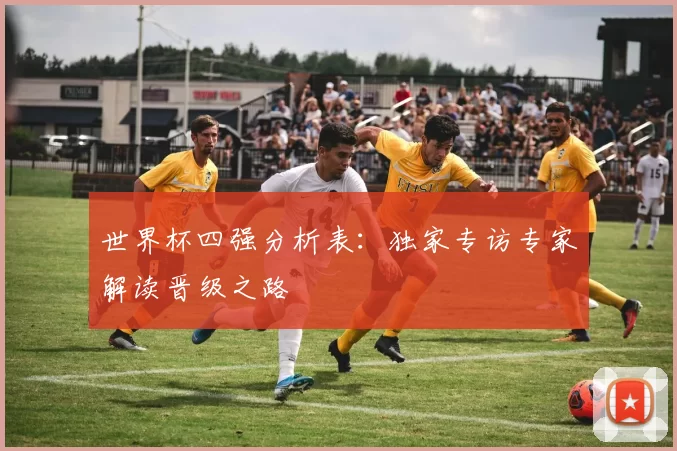 世界杯四强分析表：独家专访专家解读晋级之路