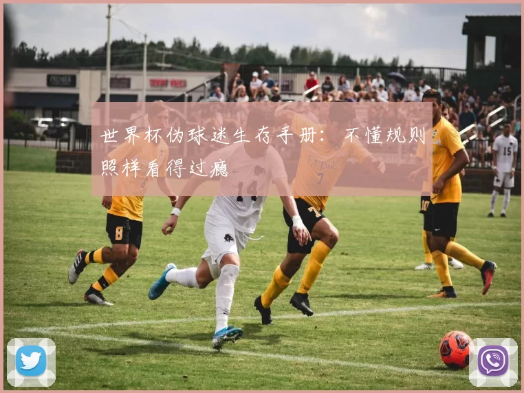 世界杯伪球迷生存手册：不懂规则照样看得过瘾