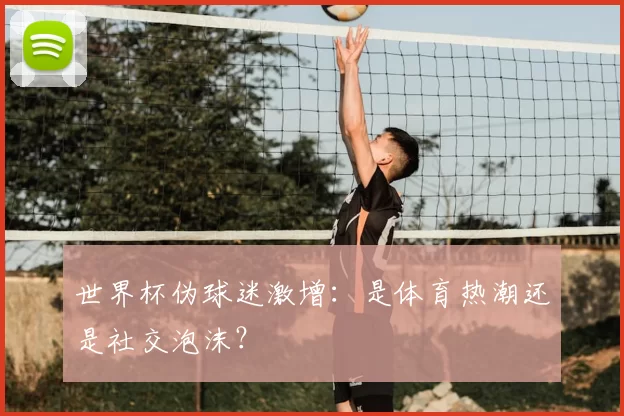 世界杯伪球迷激增：是体育热潮还是社交泡沫？