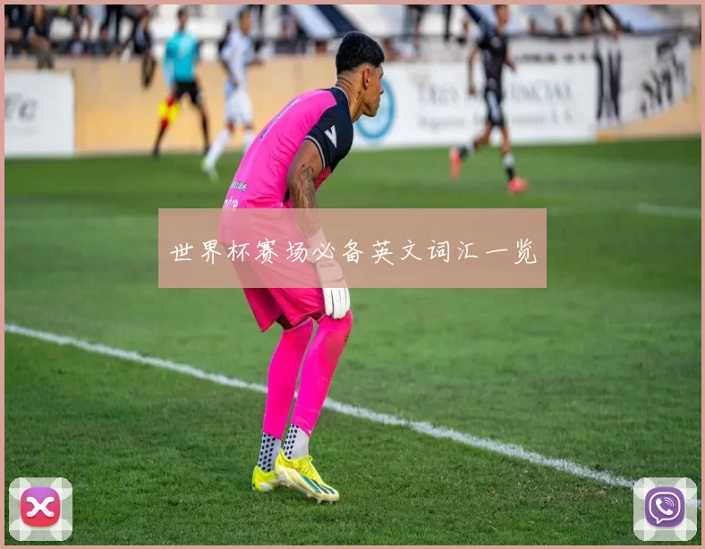 世界杯赛场必备英文词汇一览