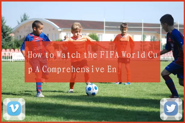 How to Watch the FIFA World Cup A Comprehensive En