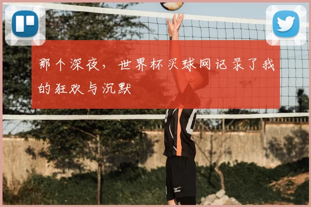 那个深夜，世界杯买球网记录了我的狂欢与沉默