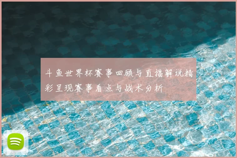 斗鱼世界杯赛事回顾与直播解说精彩呈现赛事看点与战术分析