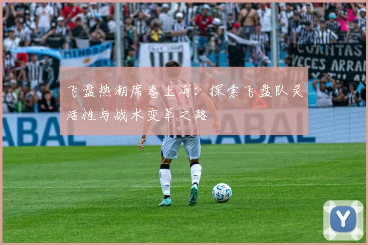 飞盘热潮席卷上海:探索飞盘队灵活性与战术变革之路